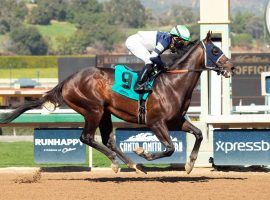 Dream Shake ran his career-best 96 Beyer Speed Figure in this maiden debut victory in January. He moves to turf for the first time in Del Mar's traditional summer stakes opener: the Oceanside Stakes. (Image: Benoit Photo)