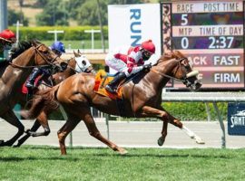 Jolie Olimpica's last victory came 14 months ago in the Grade 2 Monrovia Stakes at Santa Anita. She is one of the favorites in the opening leg of Saturday's Cross Country Pick 5: the Grade 2 Nassau Stakes at Woodbine Racetrack. (Image: Benoit Photo)