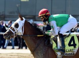 Mischevious Alex won his first Grade 1 with this 5 1/4-length blowout in the Carter Handicap in April. He is the 2/1 favorite to win his second at Saturday's Vanderbilt Stakes at Saratoga. (Image: Coglianese Photos/Chelsea Durand)