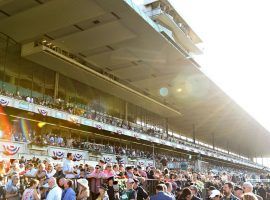 Fans returned to Belmont Park for this year's spring/summer meet, albeit in smaller numbers. The track still recorded a 20.6% boost in all-sources handle from 2019. (Image: NYRA)