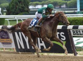 Code of Honor captured the Dwyer Stakes as a sophomore. As a more mature 5-year-old, he seeks his first win in 14 1/2 months in Saturday's Iselin Stakes at Monmouth Park. (Image: NYRA Photo)