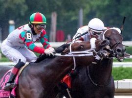 Firenze Fire bit off more than he could chew, savaging Forego Stakes rival Yaupon in deep stretch. Yaupon survived the sudden savaging, winning as the 2/1 favorite. (Image: Skip Dickstein)