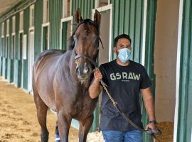 Jesus' Team and trainer Jose D'Angelo hope Friday's Alydar Stakes come as easy as this walk. (Image: Coglianese Photos)