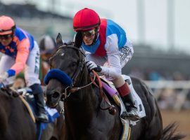 Kentucky Derby winner Medina Spirit won his third race of 2021 with this 1 1/4-length victory in the Shared Belief Stakes over Rock Your World. The two sophomores may see each other for the fourth time this year in either the Pennsylvania Derby or Awesome Again Stakes. (Image: Benoit Photo)