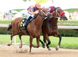 Monomoy Girl (6) lost this duel to Letruska (inside) in April's Grade 1 Apple Blossom. The Champion Older Female hasn't run since and isn't expected back until December. (Image: Coady Photography)