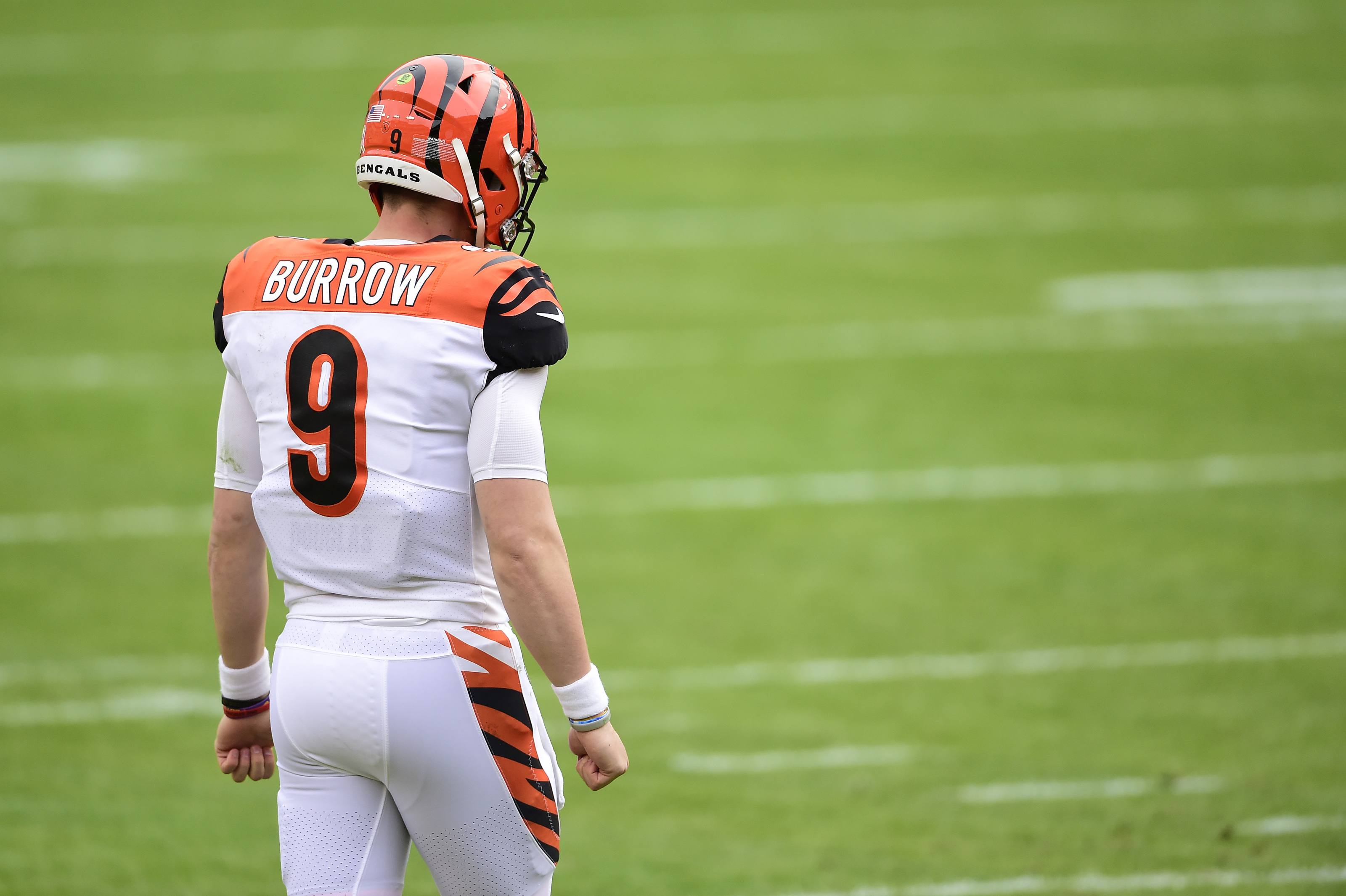 Joe Burrow Cincy Bengals NFL Week 1 Hoem Dogs Dog Texans Colts Giants Lions Raiders