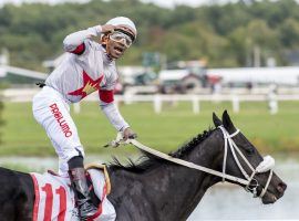 Jockey Ricardo Santana Jr. celebrates his victory with 108/1 Hollywood Talent in Saturday's Grade 3 Parx Turf Monster Stakes. (Image: Joe Labozzetta/EQUI-PHOTO)