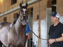 Hot Rod Charlie and trainer Doug O'Neill get a prime opportunity to win their first Grade 1 in Saturday's Pennsylvania Derby at Parx. (Image: Sarah Andrew)