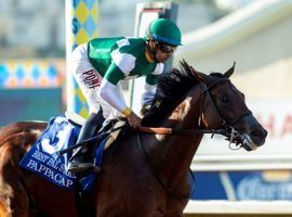 Pappacap impressed in both his races, including this stalking victory in the Grade 2 Best Pal. He is a strong contender to win Monday's Grade 1 Del Mar Futurity. (Image: Benoit Photo)