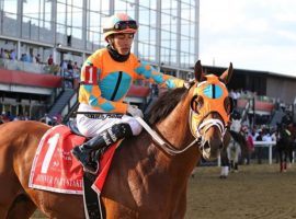 Expect Somelikeithotbrown to factor into Monday's Grade 3 Mint Million at Kentucky Downs. His trainer, Mike Maker, is the track's all-time leader in three categories: wins, starters and earnings. (Image: Bill Denver/Maryland Jockey Club)