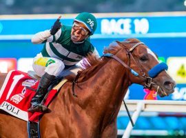 Jockey Tiago Pereira rode Tripoli to Horse of the Meet honors at Del Mar. Tripoli won the Grade 1 Pacific Classic and helped owners Hronis Racing take its sixth Del Mar owners title and fourth in the last five years. (Image: Benoit Photo)