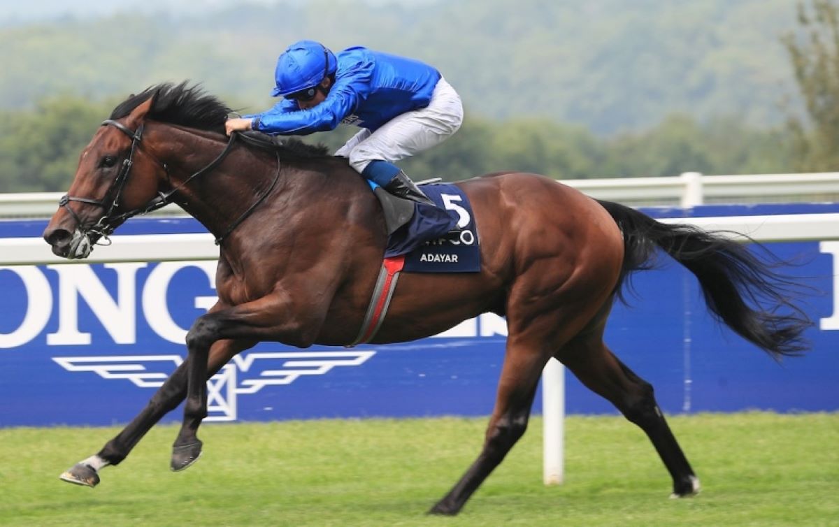 Adayar-British Champion Stakes