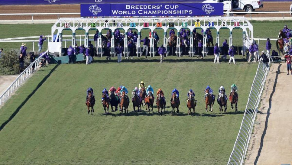 Breeders' Cup Betting Menu-Race Order