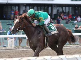 Code of Honor breezed to victory in the Grade 3 Philip Iselin at Monmouth. Can he find the boad again in his final race: Saturday's Fayette Stakes at Keeneland? (Image: Bill Denver/EQUI-PHOTO)