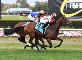 Irad Ortiz Jr. and Public Sector (9) surge and steal the Grade 2 Hill Prince from Never Surprised (back). The Chad Brown-trained 3-year-old is 4-for-6 in 2021. (Image: Susie Raisher)