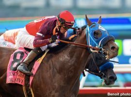 Dr. Schivel won his way into the Breeders' Cup Sprint with this gritty neck victory in July's Grade 1 Bing Crosby Stakes at Del Mar. He's the 4/1 second favorite to win Saturday's Sprint. (Image: Benoit Photography)