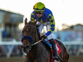 Messier and Flavien Prat controlled the Grade 3 Bob Hope Stakes last month at Del Mar. Oddsmakers make the pair a 1/2 morning-line choice to give Bob Baffert his eighth consecutive Los Alamitos Futurity title. (Image: Benoit Photo)