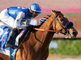 Private Mission and Flavien Prat seek a return to trips like this victorious one in the Grade 2 Zenyatta two starts ago. The pair are the 8/5 morning-line favorite in Sunday's Grade 1 La Brea Stakes at Santa Anita Park. (Image: Benoit Photo)