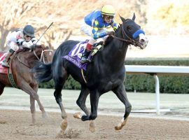 Unbeaten Newgrange looks to build on his Southwest Stakes win as the 9/5 favorite in Saturday's Grade 2 Rebel Stakes at Oaklawn Park. (Image: Coady Photography)