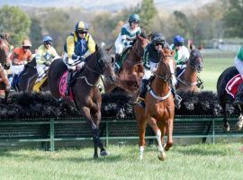 South Carolina has a horse racing tradition that state's fans see in such events as the Carolina Cup. Two state legislators introduced a bill to legalize horse race wagering on ADW platforms. (Image: Carolina Cup Racing Association)