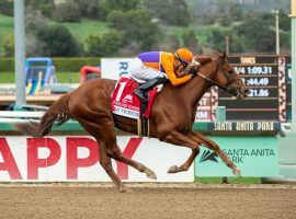 Forbidden Kingdom has led at the quarter-mile mark in every race. He's the 8/5 favorite in Saturday's Grade 2 San Felipe Stakes at Santa Anita Park. (Image: Benoit Photo)