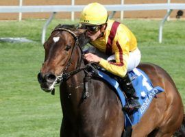 Coming out of her victory in the Giant's Causeway Stakes earlier this month, Wesley Ward's Campanelle is one of the top American horses set to invade Royal Ascot in June. (Image: Keeneland/Coady Photography)