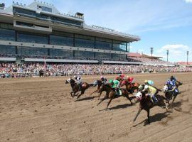 Minnesota's Canterbury Park introduced a 10% takeout Pick 4 that offers the lowest takeout in North American racing. (Image: Canterbury Park)