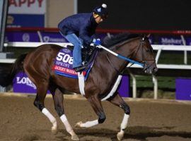 Jackie's Warrior makes his first start since his sixth in last November's Breeders' Cup Sprint. He's the 6/5 favorite for the Grade 3 Count Fleet Sprint Handicap at Oaklawn Park. (Image: Anne M. Eberhardt)