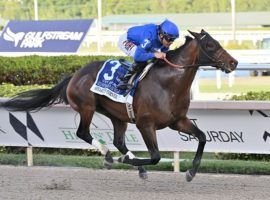 Speaker's Corner is the 8/5 favorite to win the Grade 1 Carter Handicap, the first NYRA Grade 1 of 2022. (Image: Coglianese Photos/Lauren King)