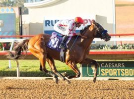 Champion 2-Year-Old Corniche won his first three races for Bob Baffert. He'll win any subsequent ones for Todd Pletcher. (Image: Benoit Photo)