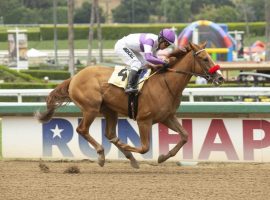 Absolutely Zero won her May debut as an odds-on favorite. She's the favorite running against colts in the Fasig-Tipton Futurity. (Image: Benoit Photo)