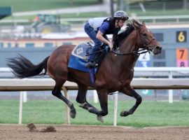 Flightline clocked yet another bullet workout last Sunday at Santa Anita Park. He returns as the 3/5 morning line favorite for Saturday's Grade 1 Metropolitan Handicap at Belmont Park. (Image: Zoe Metz Photography)