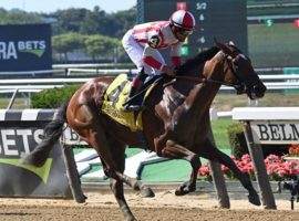 Gerrymander's three-length victory in Saturday's Grade 2 Mother Goose Stakes at Belmont Park established her as a 3-year-old filly to watch going forward. (Image: Coglianese Photos)