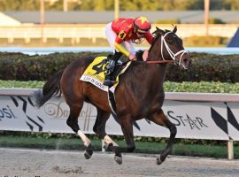 Life Is Good blew away a stellar field in January's Pegasus World Cup. He seeks a return to that form against rival Speaker's Corner in Saturday's Grade 2 John A. Nerud Stakes at Belmont Park. (Image: Coglianese Photo)