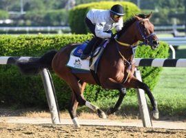 Skippylongstocking made the most of his Belmont Stakes upstart role. He finished third as one of the two double-digit long shots in the eight-horse field. (Image: Coglianese Photos/Janet Garaguso)