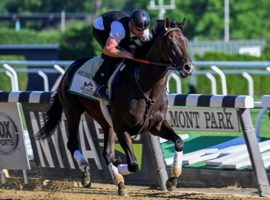 Trainer Rodolphe Brisset puts We the People through his Friday morning paces at Belmont Park. He is the 2/1 morning line favorite to win Saturday's 2022 Belmont Stakes. (Image: Skip . Dickstein)