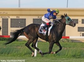 Wow Whata Summer and rider Tyler Conner pulled off an 83/1 upset in Friday's Grade 2 Penn Mile. It was the first time the 3-year-old gelding crossed the finish line first in seven races. (Image: Kathy Hair/EQUI-PHOTO)