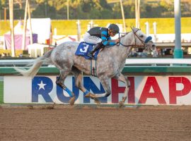 American Theorem owns the only 2022 graded stakes victory in the Grade 1 Bing Crosby Stakes field. He is the 4/1 co-second choice in Saturday's co-feature at Del Mar. (Image: Benoit Photo)