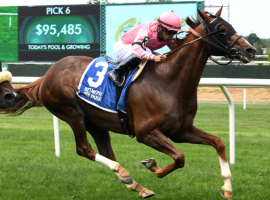 Channel Maker won his ninth stakes race Friday, with a head victory in the Black-Type Grand Couturier at Belmont Park. The 8-year-old horse is 2-for-3 in 2022. (Image; NYRA Photo)