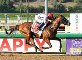 Undefeated Corniche's first of two Grade 1 wins came in last fall's American Pharoah Stake at Santa Anita Park.He returns for his first race in nearly eight months in Friday's Grade 2 Amsterdam Stakes at Saratoga. (Image: Benoit Photo)