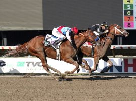 Cyberknife (inside) held off a surging Taiba at the wire to win the Grade 1 Haskell Stakes. He set a Monmouth Park record for 1 1/8 miles along the way. (Image: Monmouth Park)