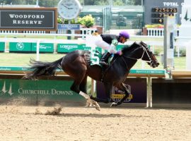 Damon's Mound won his debut race by 12 1/2 lengths, bringing another juvenile star to the forefront. (Image: Coady Photography)