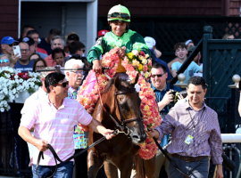 In Italian enjoys the spoils of her victory in Saturday's Grade 1 Diana Stakes. The filly provides an example of trainer Chad Brown's new emphasis of developing standout turf runners. (Image: Janet Garaguso Photo)