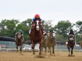 Jack Christopher destroyed his Woody Stephens competition by 10 lengths last out. He is the 3/2 second choice to win the Grade 1 Haskell Stakes. That's the fourth leg of this week's Cross Country Pick 5. (Image: Coglianese Photos)