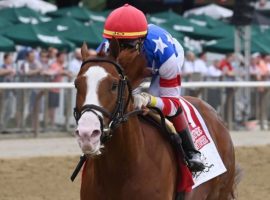 Jack Christopher's Grade 1 Woody Stephens victory was one of the highlights of Belmont Park's 2022 Spring/Summer Meet. One of the most lucrative meets had a rise in average daily handle and a drop in overall handle from 2021. (Image: NYRA Photo)