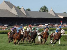 NYRA stewards ruled Saratoga's seventh race on the inner turf course Sunday a "No Contest" after a mechanical failure to the gate tractor. (Image: Saratoga Springs Photo)