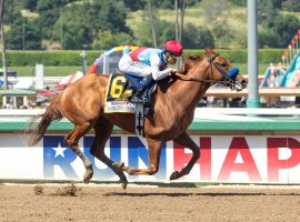 Taiba's biggest victory in his three-race career came in April's Grade 1 Santa Anita Derby. The Bob Baffert charge shipped east as the morning line favorite for the Grade 1 Haskell Stakes at Monmouth Park Saturday. (Image: Benoit Photo)