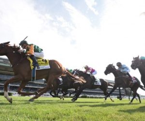 Classic Causeway-Saratoga Derby