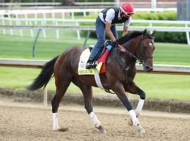 Helium finished eighth in the 2021 Kentucky Derby, the only time he's finished out of the money in 10 races. But because of his record, he's had a hard time finding suitable races. He'll run in an Ellis Park overnight stakes Saturday. (Image: Coady Photography)